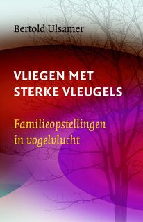 Vliegen met sterke vleugels - Bertold Ulsamer (ISBN 9789069639604)
