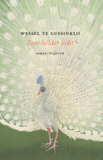 Zeer helder licht - Wessel te Gussinklo (ISBN 9789083347165)