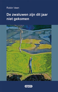 De zwaluwen zijn dit jaar niet gekomen - Robin Veen (ISBN 9789493364615)