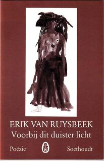 Voorbij dit duister licht - Erik Van Ruysbeek (ISBN 9789063720520)