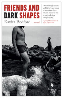 FRIENDS & DARK SHAPES - Kavita Bedford (ISBN 9781609456641)
