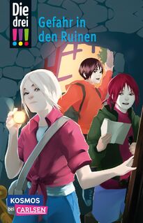 Die drei !!!: Gefahr in den Ruinen - Maja von Vogel (ISBN 9783551321985)