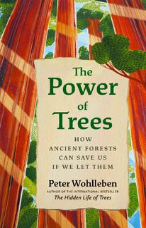 The Power of Trees - Peter Wohlleben (ISBN 9781771647748)