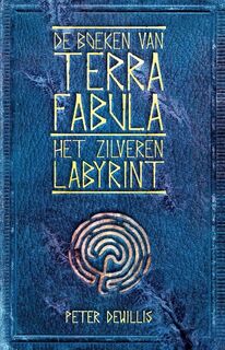 Het zilveren labyrint - Peter DeWillis (ISBN 9789463080750)