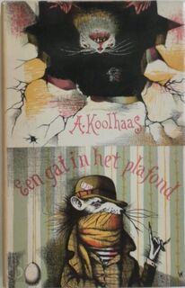 Een gat in het plafond - Anton Koolhaas