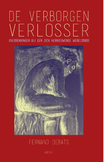 De Verborgen Verlosser - Fernand Debats (ISBN 9789464870725)