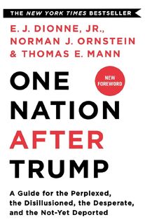 One Nation After Trump - E. J. Dionne Jr., E. J. Dionne Jr, Norman J. Ornstein (ISBN 9781250293633)