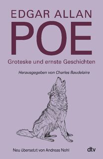 Groteske und ernste Geschichten - Edgar Allan Poe (ISBN 9783423284875)