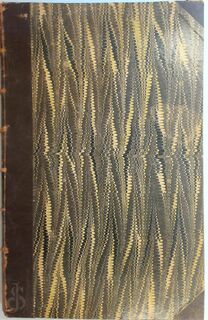 Het zegenpralent Kennemerlant - Matthæus Brouërius van Nidek