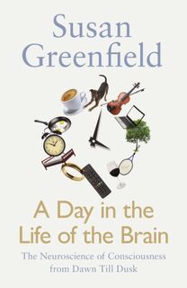 A Day in the Life of the Brain (ISBN 9780241256671)