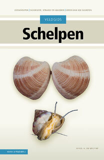 Veldgids Schelpen - Rykel de Bruyne (ISBN 9789050119023)
