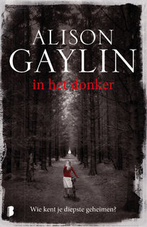 In het donker - Alison Gaylin (ISBN 9789022569023)