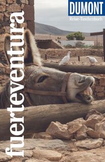 DuMont Reise-Taschenbuch Fuerteventura - Susanne Lipps (ISBN 9783616020310)
