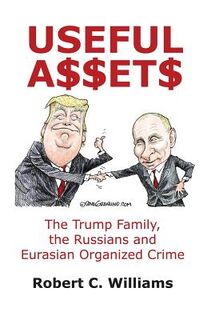 Useful Assets - Robert C. Williams (ISBN 9781480987739)