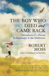 The Boy Who Died and Came Back - Robert Moss (ISBN 9781608682355)