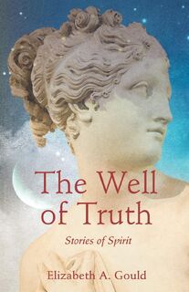 The Well of Truth - Elizabeth A. Gould (ISBN 9781684631391)