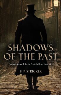 Shadows of the Past - B P Stricker (ISBN 9781959620198)