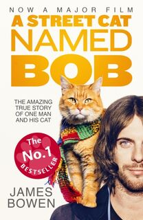 A Street Cat Named Bob - James Bowen (ISBN 9781473633360)