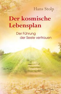 Der kosmische Lebensplan - Hans Stolp (ISBN 9783894277888)