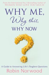 Why Me, Why This, Why Now? - Robin Norwood (ISBN 9780099534778)