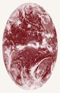 Tools for Extinction - Enrique Vila-Matas, Jean-Baptiste Del Amo, Olivia Sudjic, Jon Fosse (ISBN 9781999992828)