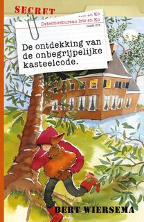 De ontdekking van de onbegrijpelijke kasteelcode - Bert Wiersema (ISBN 9789085433231)