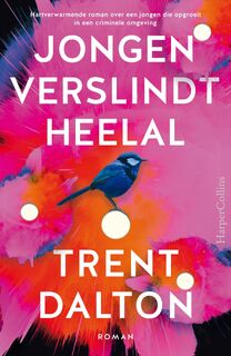 Jongen verslindt heelal - Trent Dalton (ISBN 9789402758573)