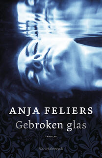 Gebroken glas - Anja Feliers (ISBN 9789463831109)