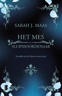Het mes van de sluipmoordenaar - Sarah J. Maas (ISBN 9789022590638)