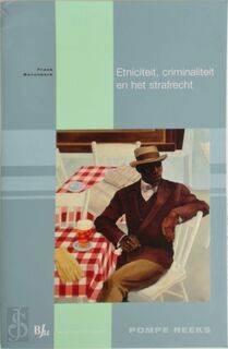 Etniciteit, criminaliteit en het strafrecht - Frank Bovenkerk (ISBN 9789089741639)