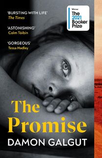 The Promise - Damon Galgut (ISBN 9781529113877)