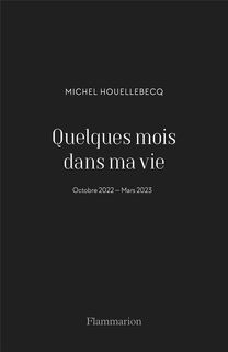 Quelques mois dans ma vie - Michel Houellebecq (ISBN 9782080435804)