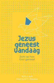 Jezus geneest vandaag - W. Kok, R. Hausoul (ISBN 9789059992009)