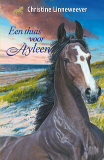 Een thuis voor Ayleen - Christine Linneweever (ISBN 9789020622881)