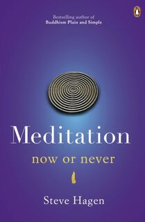 Meditation Now or Never - Steve Hagen (ISBN 9780718193041)