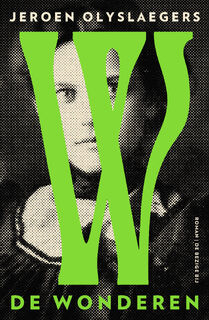 De wonderen - Jeroen Olyslaegers (ISBN 9789403187914)