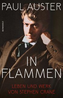 In Flammen - Paul Auster (ISBN 9783498001674)