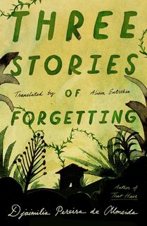 Three Stories of Forgetting - Djaimilia Pereira de Almeida (ISBN 9780374612092)
