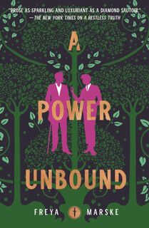The Power Unbound - Freya Marske (ISBN 9781250831903)