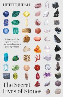 The Secret Lives of Stones - Hettie Judah (ISBN 9781529394955)