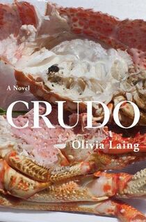 Crudo - Olivia Laing (ISBN 9781509892839)