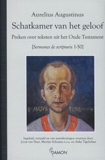 Schatkamer van het geloof - Aurelius Augustinus (ISBN 9789460360671)