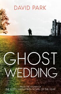 Ghost Wedding - David Park (ISBN 9780861549986)