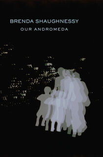 Our Andromeda - Brenda Shaughnessy (ISBN 9781556594106)