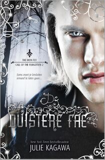 De duistere fae - Julie Kagawa (ISBN 9789034754400)