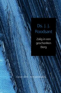Zalig in een geschonken borg - J. J. Roodsant (ISBN 9789402117806)