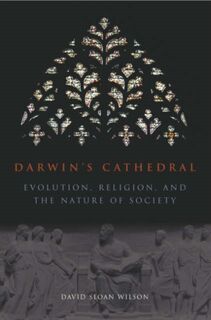 Darwin`s Cathedral – Evolution, Religion, and the Nature of Society - David Wilson (ISBN 9780226901350)