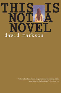 This Is Not a Novel - David Markson (ISBN 9781582431338)