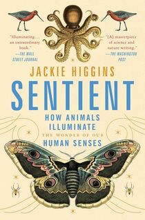 Sentient - Jackie Higgins (ISBN 9781982156565)