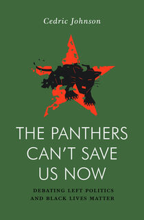 The Panthers Can't Save Us Now - Cedric G. Johnson (ISBN 9781839766305)